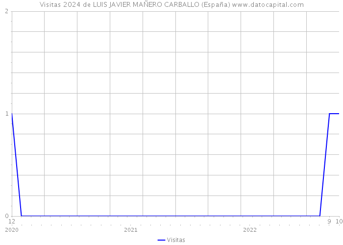 Visitas 2024 de LUIS JAVIER MAÑERO CARBALLO (España) 