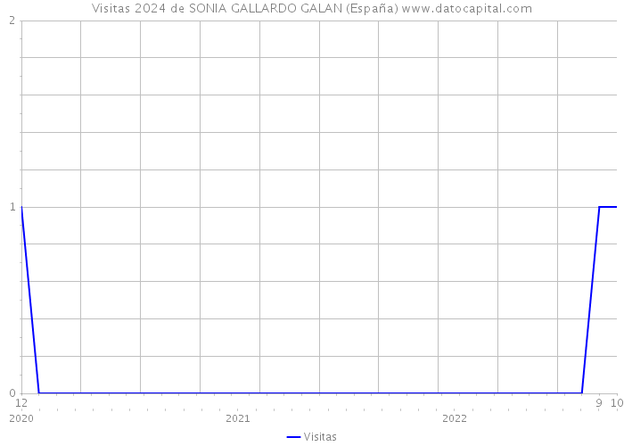 Visitas 2024 de SONIA GALLARDO GALAN (España) 