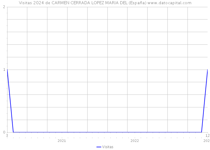 Visitas 2024 de CARMEN CERRADA LOPEZ MARIA DEL (España) 