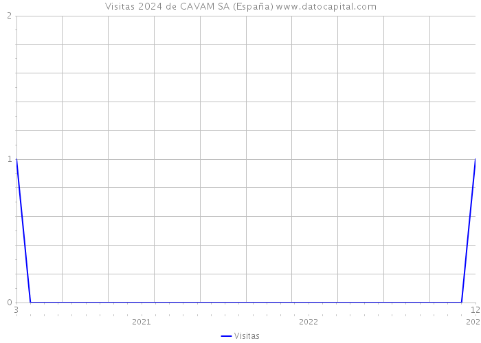 Visitas 2024 de CAVAM SA (España) 