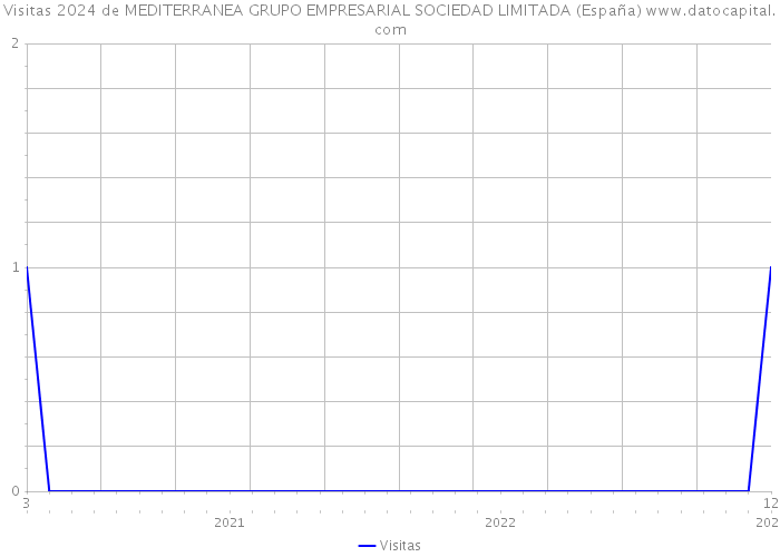 Visitas 2024 de MEDITERRANEA GRUPO EMPRESARIAL SOCIEDAD LIMITADA (España) 