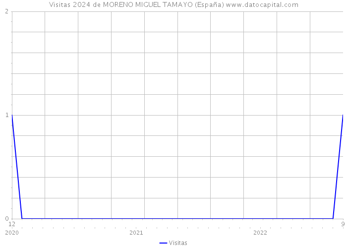 Visitas 2024 de MORENO MIGUEL TAMAYO (España) 