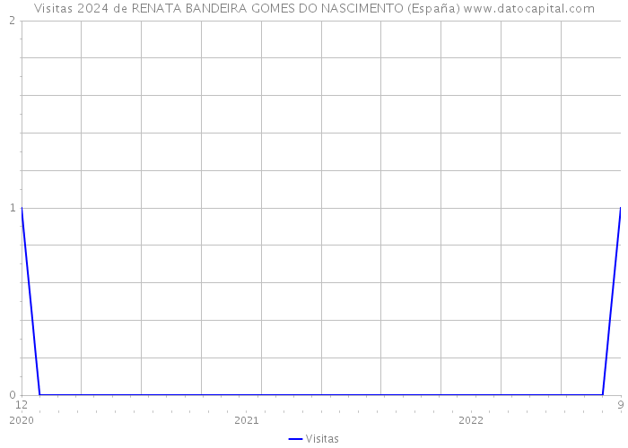 Visitas 2024 de RENATA BANDEIRA GOMES DO NASCIMENTO (España) 