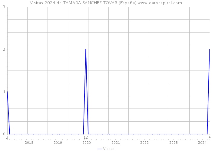 Visitas 2024 de TAMARA SANCHEZ TOVAR (España) 