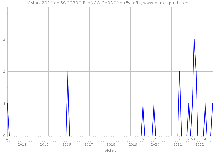 Visitas 2024 de SOCORRO BLANCO CARDONA (España) 