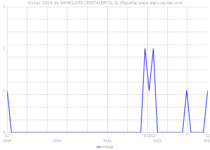 Visitas 2024 de SANIGLASS CRISTALEROS, SL (España) 