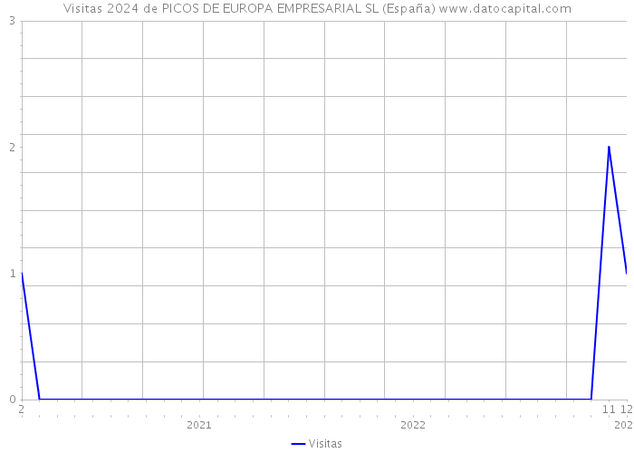 Visitas 2024 de PICOS DE EUROPA EMPRESARIAL SL (España) 