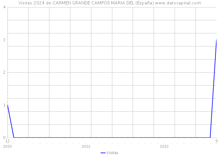 Visitas 2024 de CARMEN GRANDE CAMPOS MARIA DEL (España) 