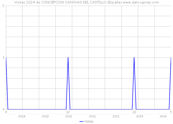 Visitas 2024 de CONCEPCION CANOVAS DEL CASTILLO (España) 