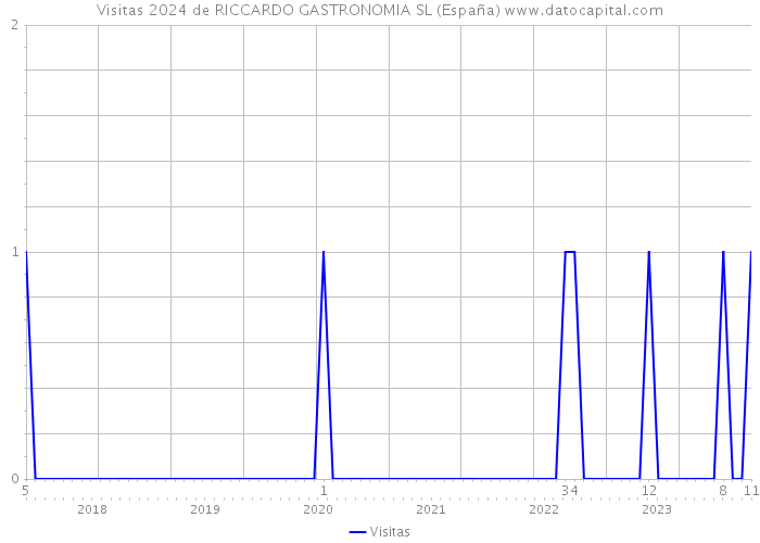 Visitas 2024 de RICCARDO GASTRONOMIA SL (España) 