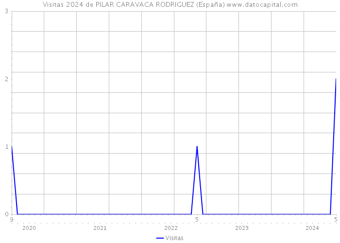 Visitas 2024 de PILAR CARAVACA RODRIGUEZ (España) 