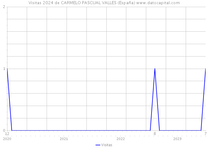 Visitas 2024 de CARMELO PASCUAL VALLES (España) 