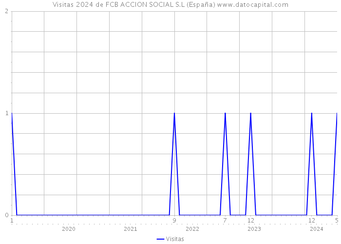 Visitas 2024 de FCB ACCION SOCIAL S.L (España) 