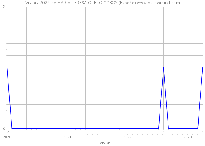 Visitas 2024 de MARIA TERESA OTERO COBOS (España) 