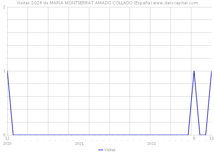 Visitas 2024 de MARIA MONTSERRAT AMADO COLLADO (España) 