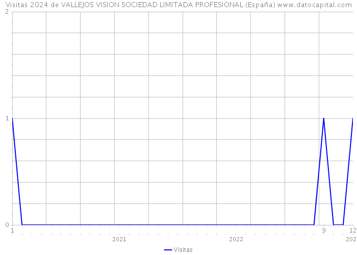 Visitas 2024 de VALLEJOS VISION SOCIEDAD LIMITADA PROFESIONAL (España) 