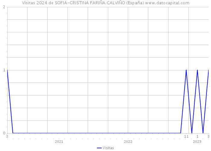 Visitas 2024 de SOFIA-CRISTINA FARIÑA CALVIÑO (España) 