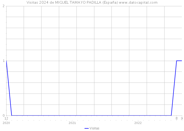 Visitas 2024 de MIGUEL TAMAYO PADILLA (España) 