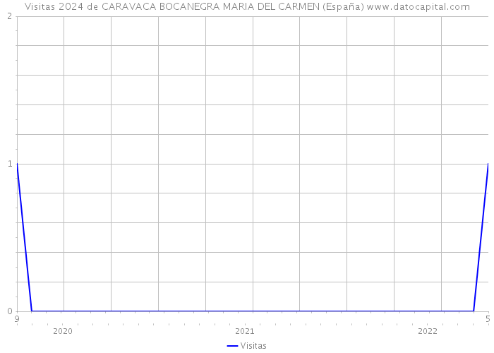 Visitas 2024 de CARAVACA BOCANEGRA MARIA DEL CARMEN (España) 