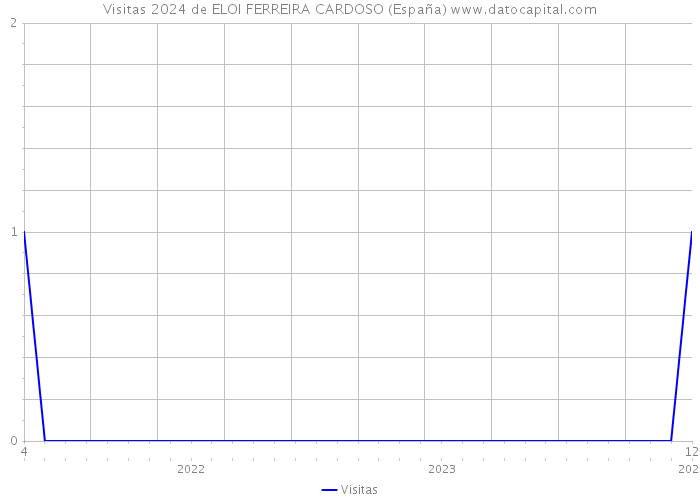 Visitas 2024 de ELOI FERREIRA CARDOSO (España) 