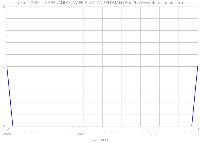 Visitas 2024 de FERNANDO JAVIER RUSCICA FELDMAN (España) 
