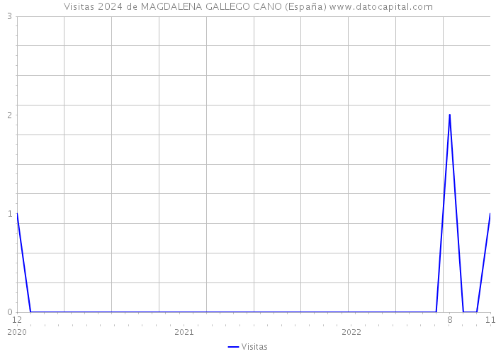 Visitas 2024 de MAGDALENA GALLEGO CANO (España) 