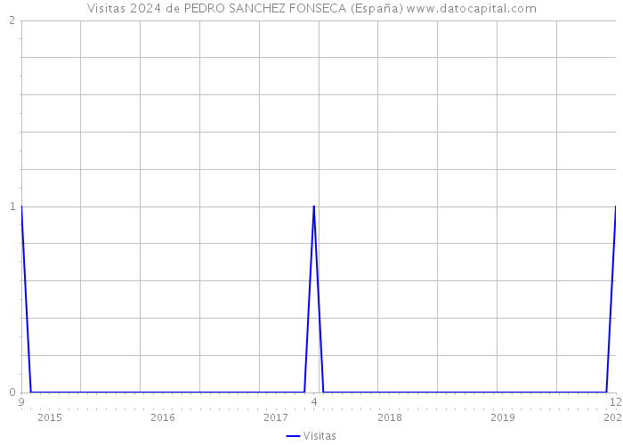 Visitas 2024 de PEDRO SANCHEZ FONSECA (España) 
