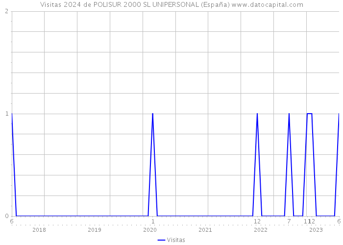 Visitas 2024 de POLISUR 2000 SL UNIPERSONAL (España) 