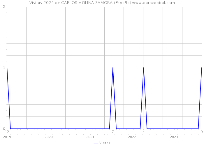 Visitas 2024 de CARLOS MOLINA ZAMORA (España) 