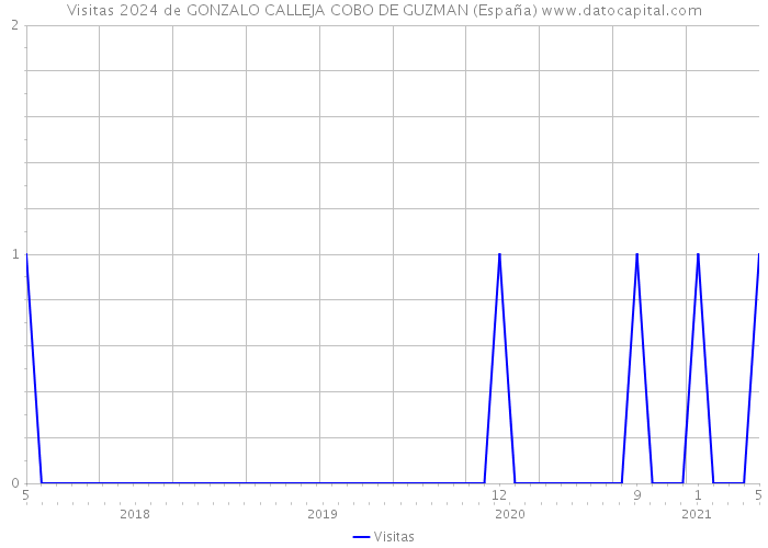 Visitas 2024 de GONZALO CALLEJA COBO DE GUZMAN (España) 