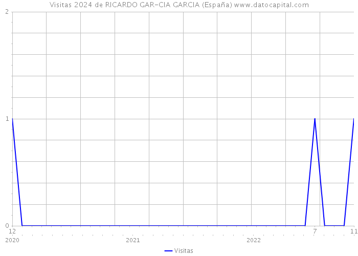 Visitas 2024 de RICARDO GAR-CIA GARCIA (España) 