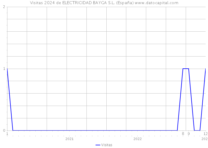 Visitas 2024 de ELECTRICIDAD BAYGA S.L. (España) 