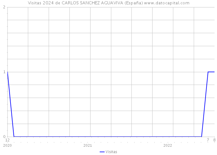 Visitas 2024 de CARLOS SANCHEZ AGUAVIVA (España) 