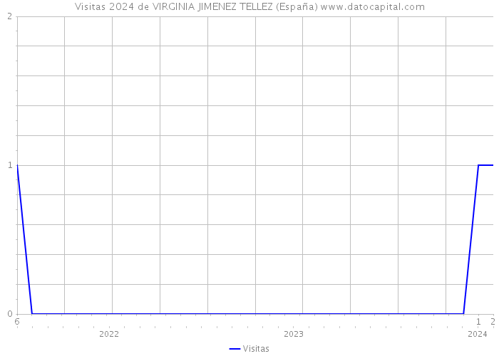 Visitas 2024 de VIRGINIA JIMENEZ TELLEZ (España) 