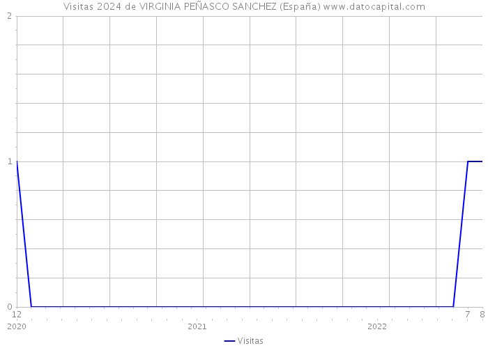 Visitas 2024 de VIRGINIA PEÑASCO SANCHEZ (España) 