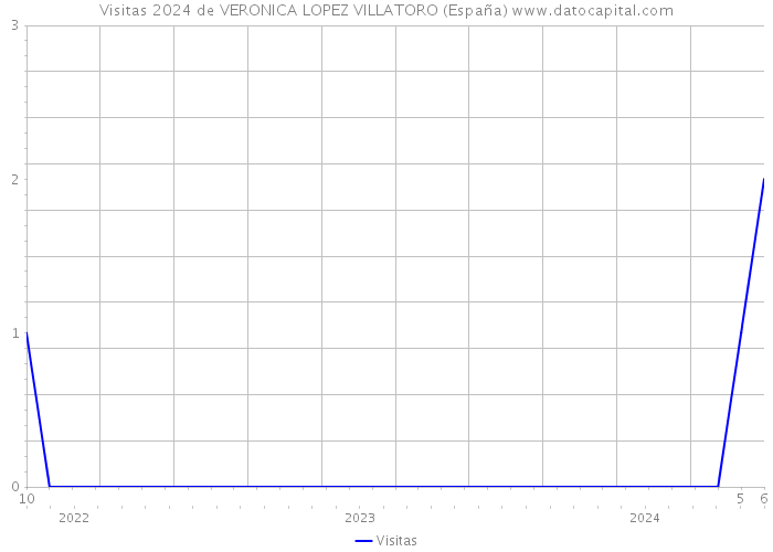 Visitas 2024 de VERONICA LOPEZ VILLATORO (España) 