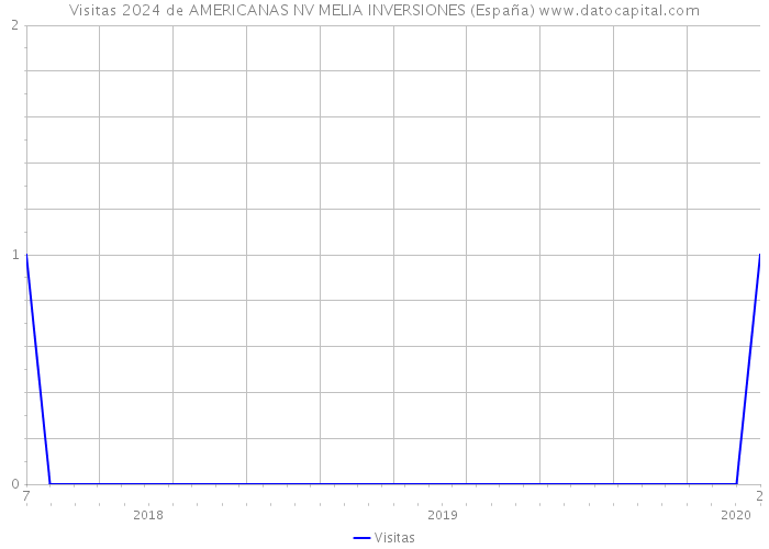 Visitas 2024 de AMERICANAS NV MELIA INVERSIONES (España) 