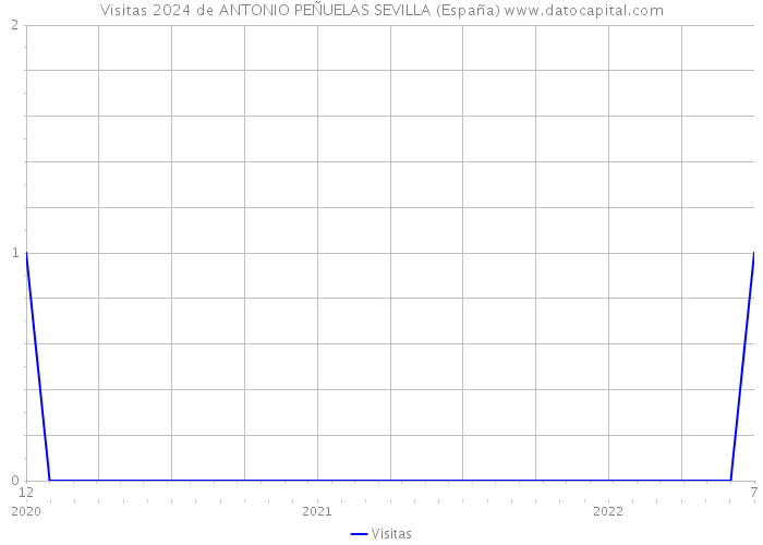 Visitas 2024 de ANTONIO PEÑUELAS SEVILLA (España) 