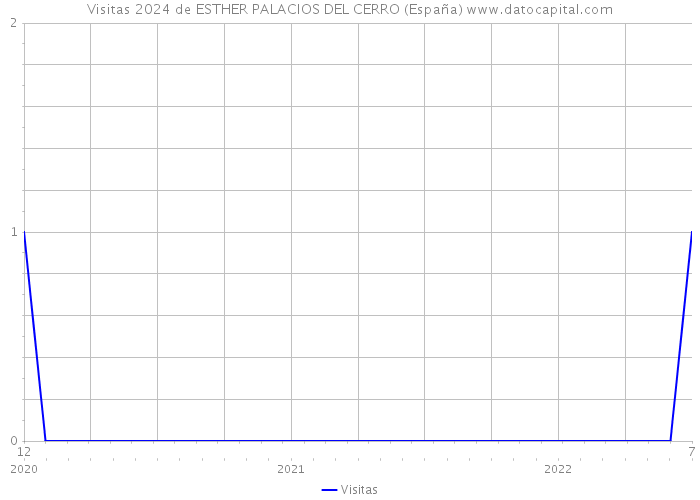Visitas 2024 de ESTHER PALACIOS DEL CERRO (España) 