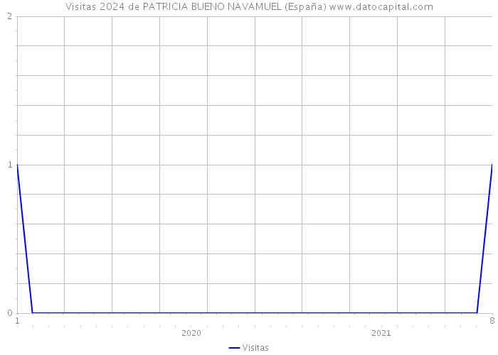 Visitas 2024 de PATRICIA BUENO NAVAMUEL (España) 