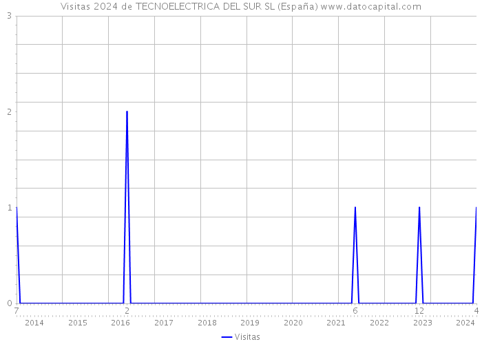 Visitas 2024 de TECNOELECTRICA DEL SUR SL (España) 