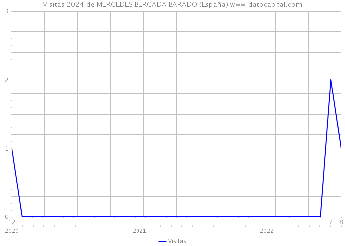 Visitas 2024 de MERCEDES BERGADA BARADO (España) 