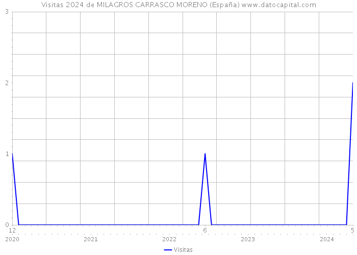 Visitas 2024 de MILAGROS CARRASCO MORENO (España) 