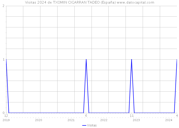 Visitas 2024 de TXOMIN CIGARRAN TADEO (España) 