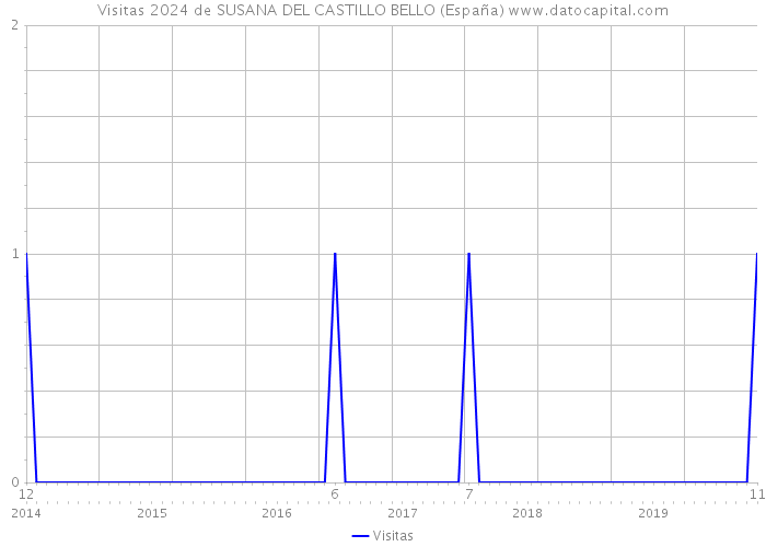 Visitas 2024 de SUSANA DEL CASTILLO BELLO (España) 