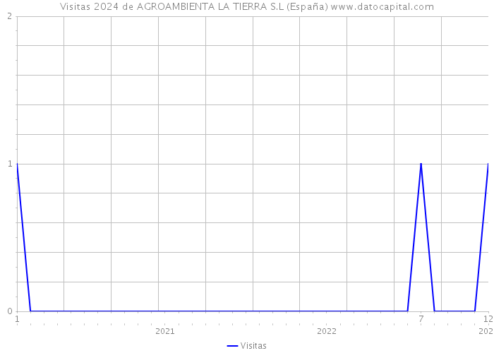 Visitas 2024 de AGROAMBIENTA LA TIERRA S.L (España) 