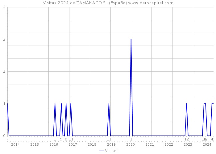 Visitas 2024 de TAMANACO SL (España) 