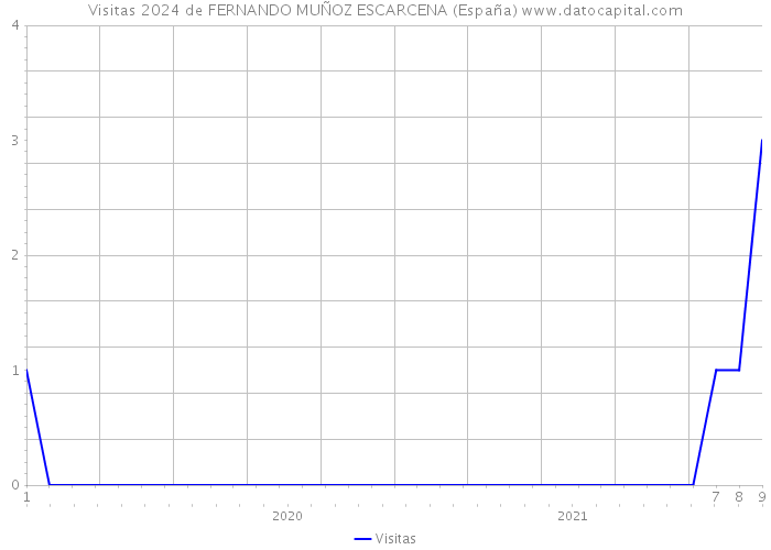 Visitas 2024 de FERNANDO MUÑOZ ESCARCENA (España) 