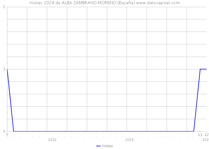 Visitas 2024 de ALBA ZAMBRANO MORENO (España) 