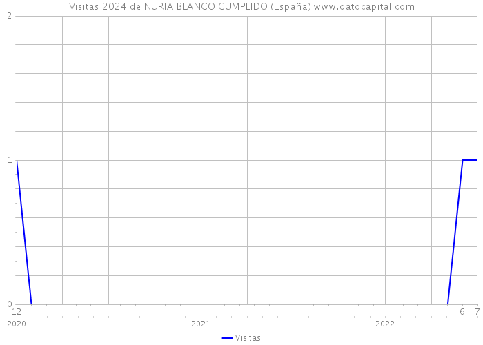 Visitas 2024 de NURIA BLANCO CUMPLIDO (España) 